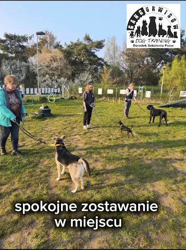 Ośrodek Szkolenia Psów Gang Urwisów Barbara Masojć-Siewert, plac treningowy